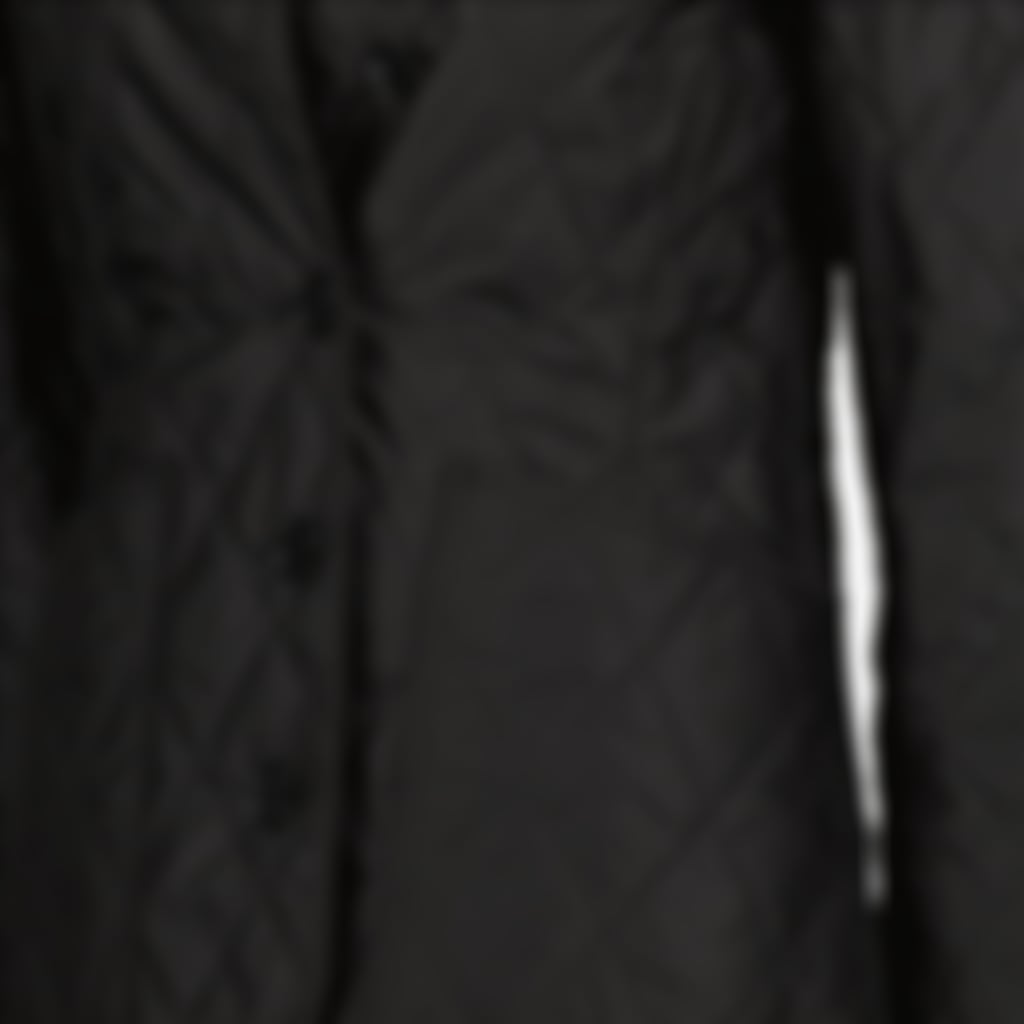 Quilted Jacket