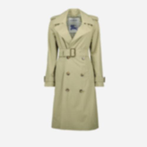 Long Trench Coat