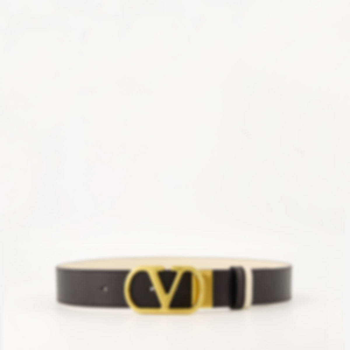 Reversible VLogo Belt