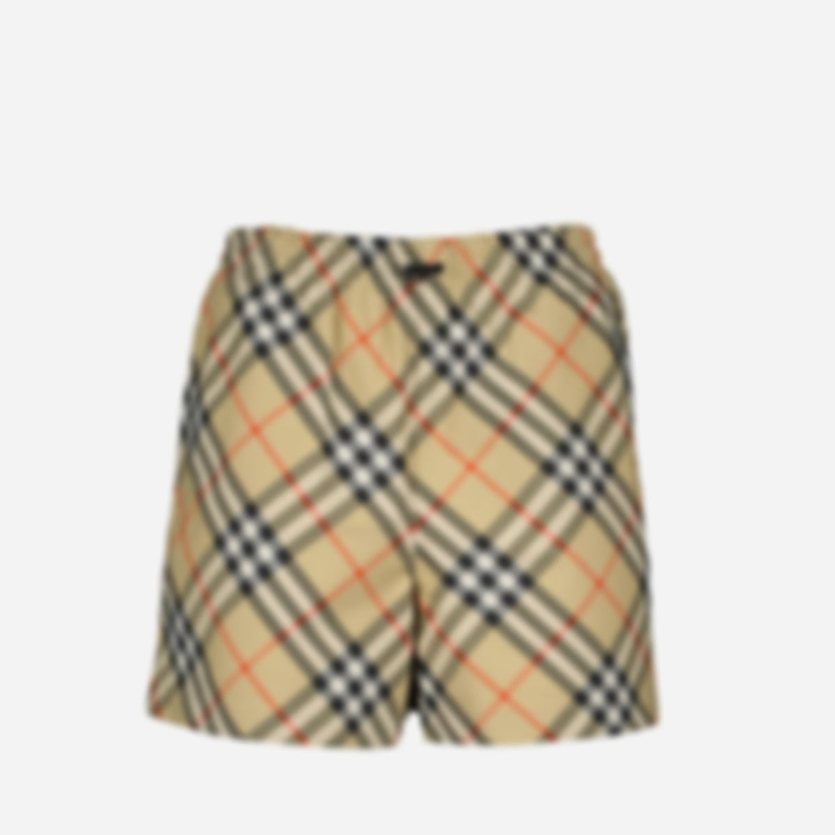 Check Plaid Shorts