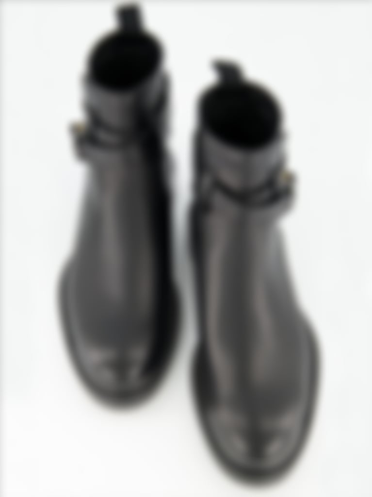 Evidence ankle boots