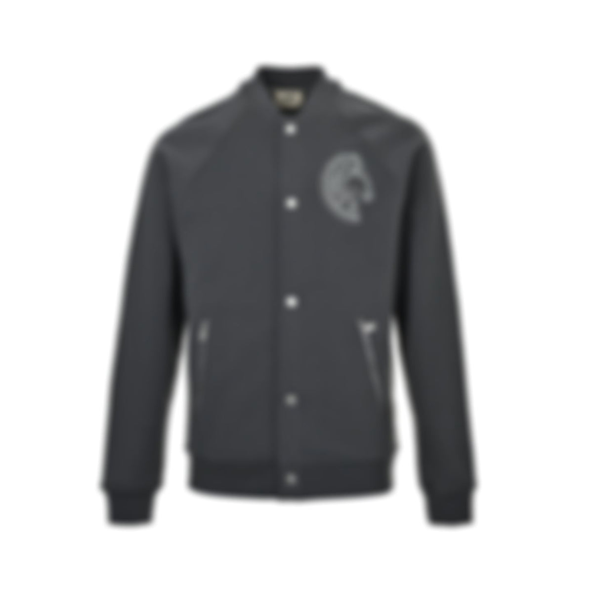 Chenille Horse Patch Varsity Jacket | Dark Grey